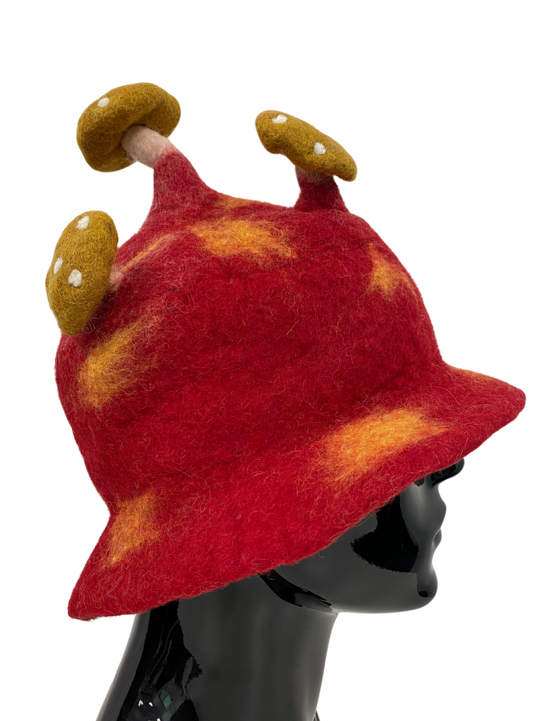 Felted Wool winter hat mushroom